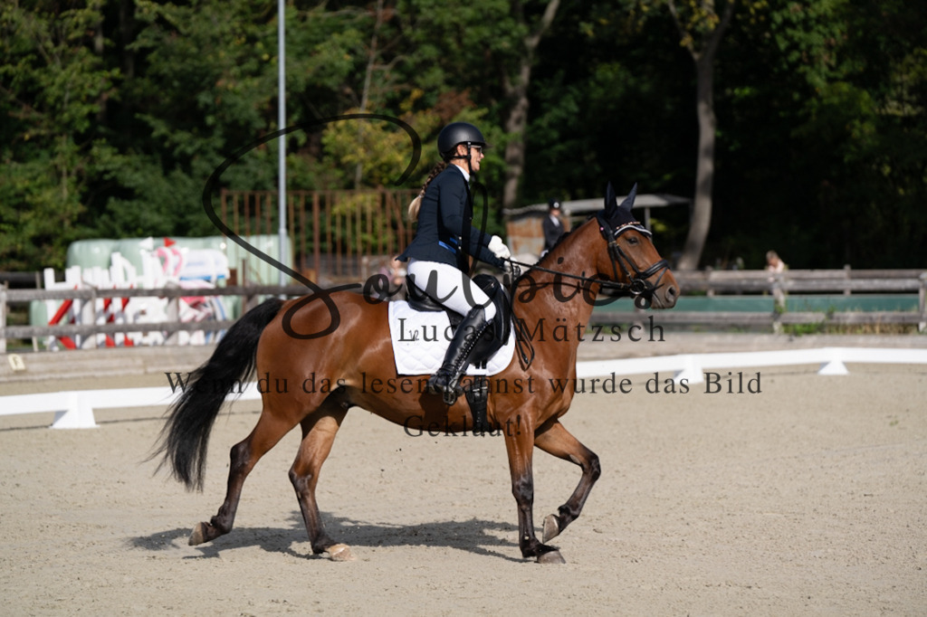 A7V06865 | Pferdefotograf