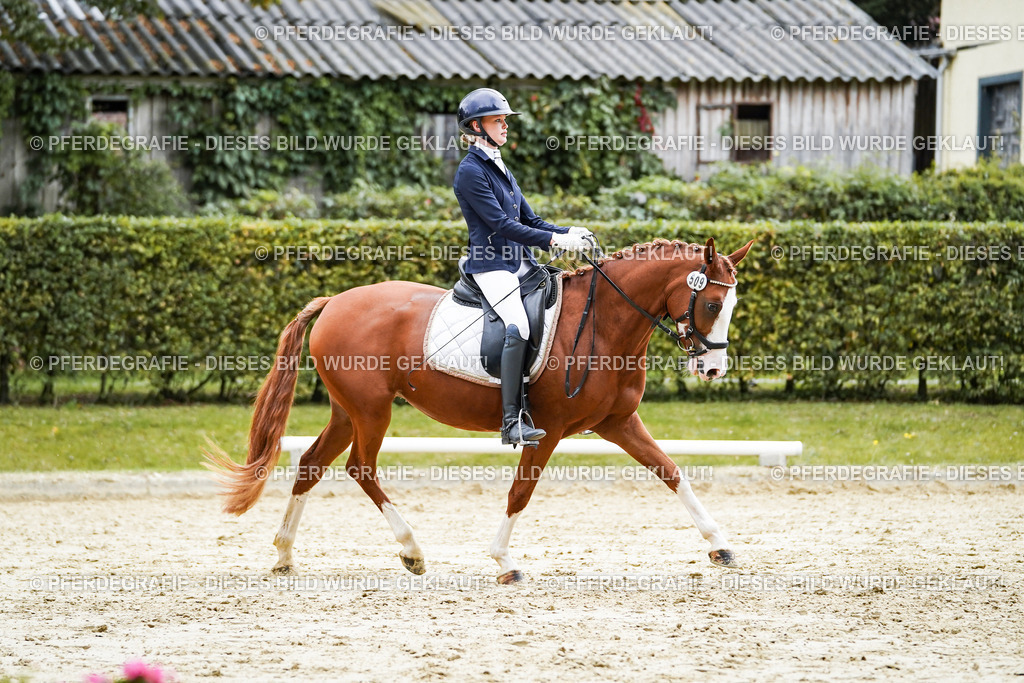 DSC07527 | Pferdegrafie