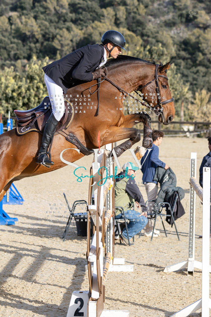 IMG_0343 | s-jay-photography - Realisiert mit Pictrs.com