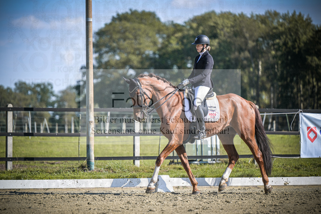 DOS_3136 | Entdecke hochwertige Reitturnierfotos von Foto Oger. Professionell, emotional und authentisch – jetzt Lieblingsmomente im Shop bestellen.Deutschlandweite Turnierfotografie. - Realisiert mit Pictrs.com