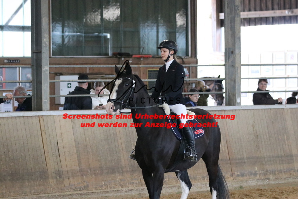 IMG_5685 | lmwpictures - Realisiert mit Pictrs.com