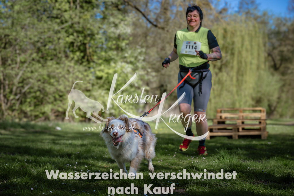 1015_ZZ94725 | kk-dogfotos