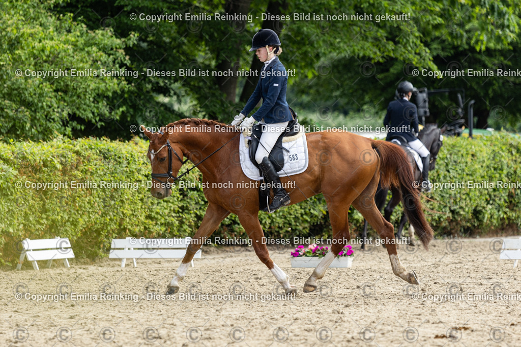 CL5A5136 | Emilia Reinking Fotografie - Realisiert mit Pictrs.com