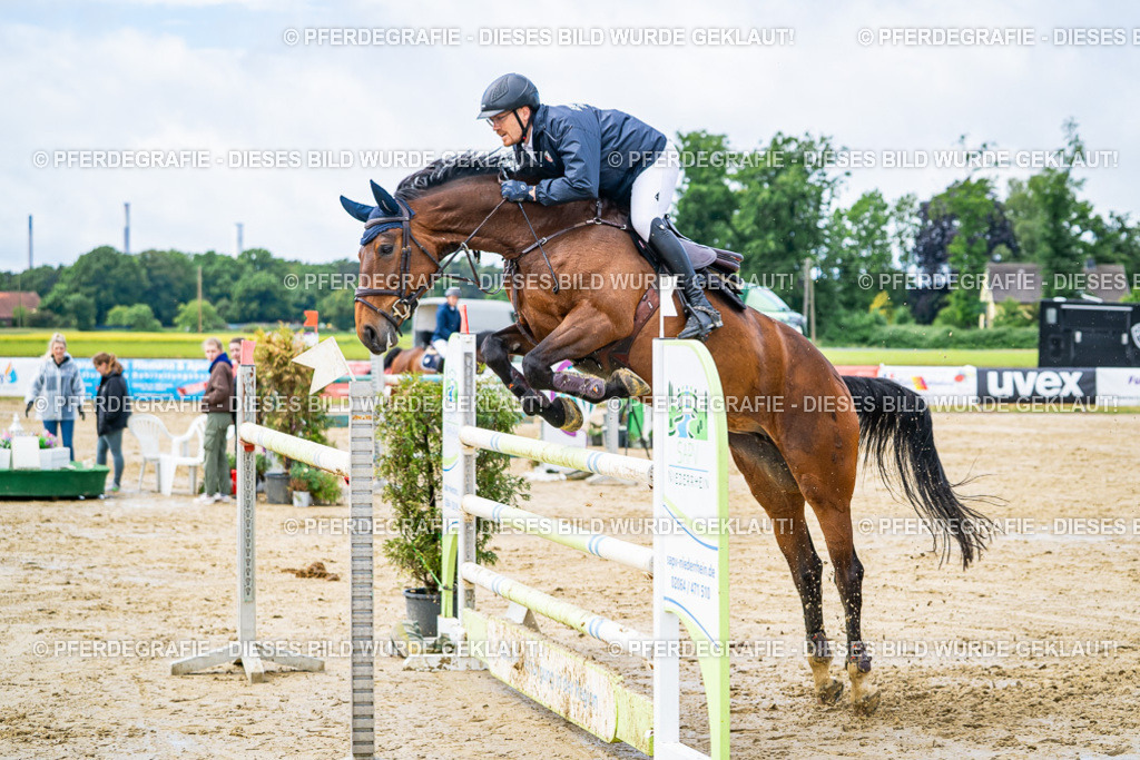 DSC04015 | Pferdegrafie