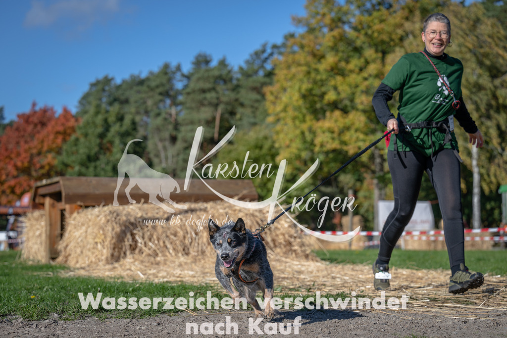 1140_ZZ91286 | kk-dogfotos