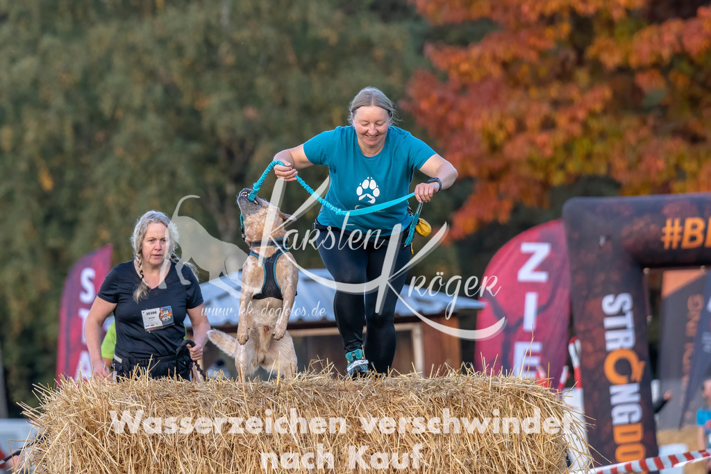 0839_ZZ91059-Bearbeitet | kk-dogfotos