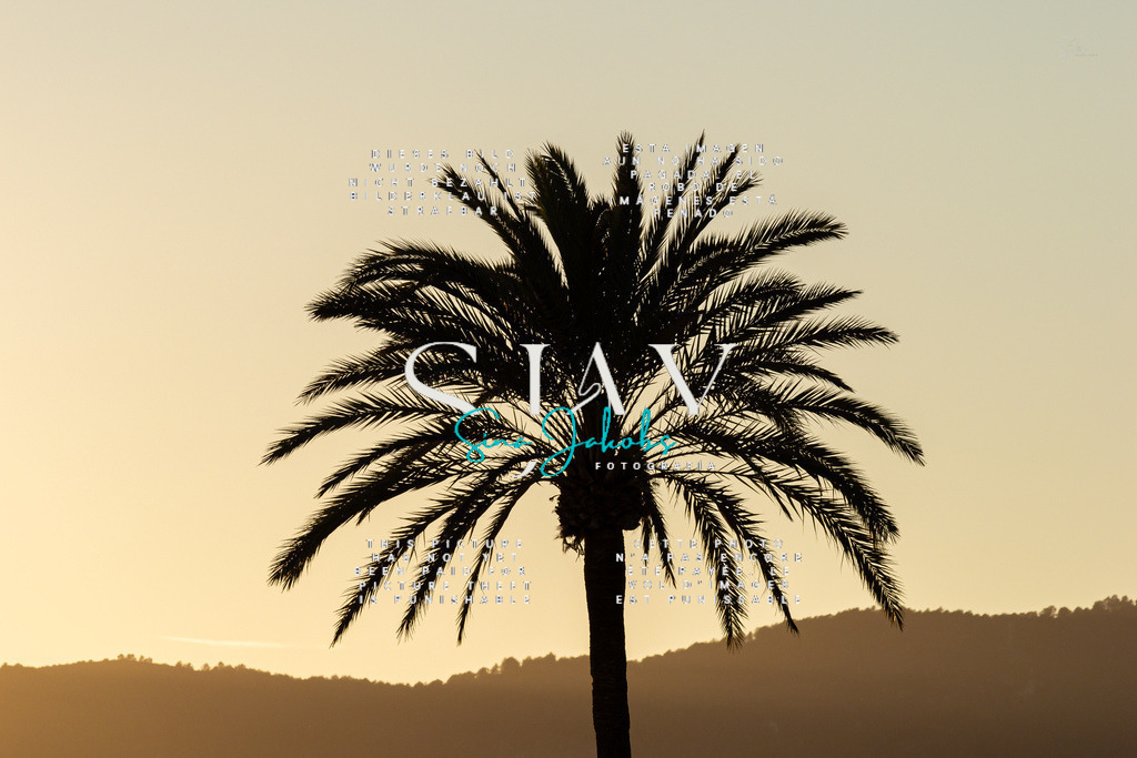 IMG_6080 | s-jay-photography - Realisiert mit Pictrs.com