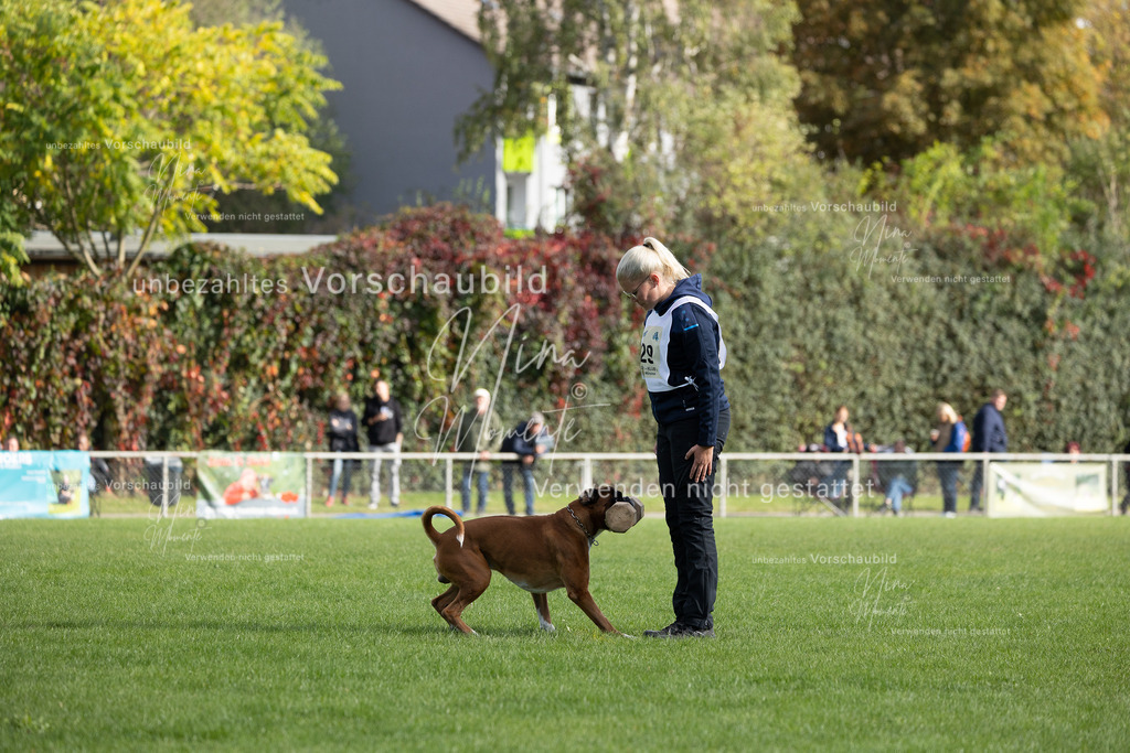 _16A5638 | Einzigartige Fotos von Hunden & Menschen –Actionfotos, Portraits, Vereinsaufnahmen & Paarshootings – authentisch, lebendig & mit Herz.