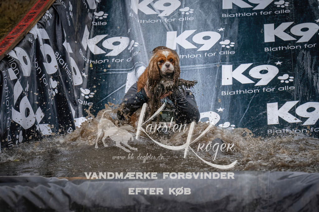 1248_ZZ90517 | kk-dogfotos