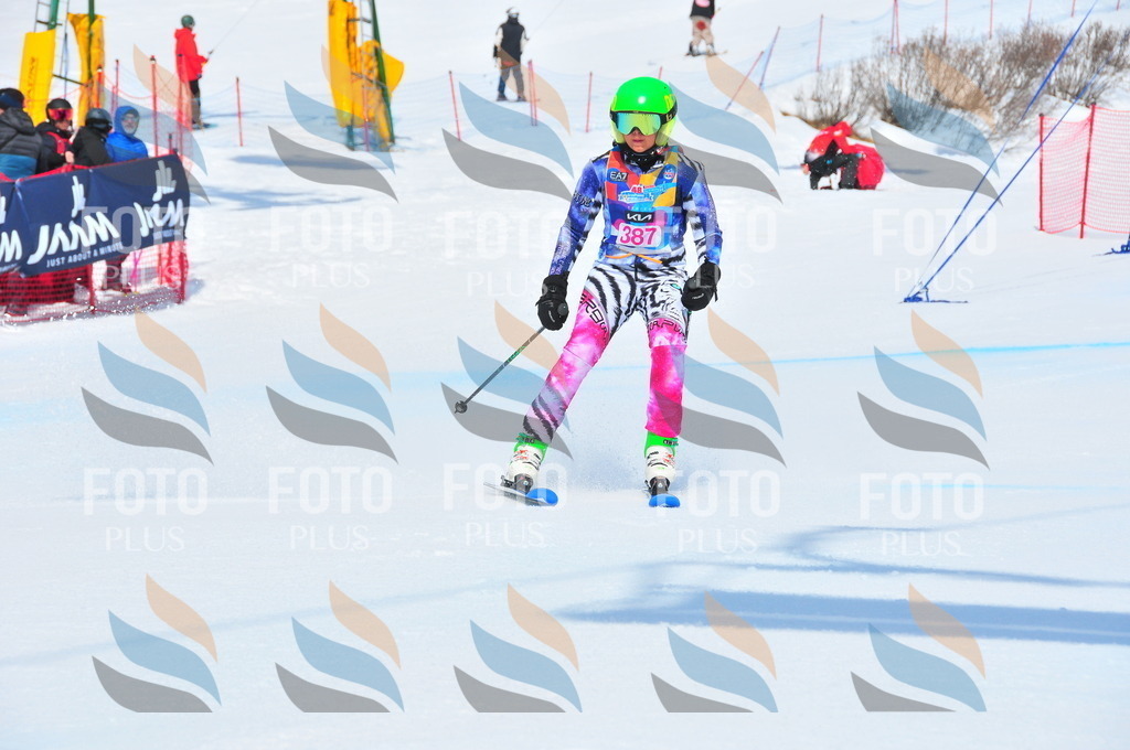 DSC_5405 | holidayphoto