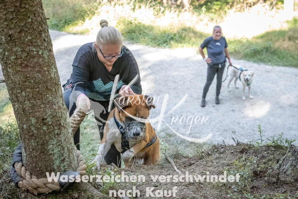 1202_ZZ93052 | kk-dogfotos