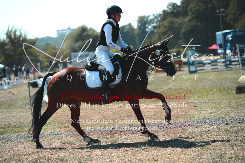 DSC_8267 | Pferde- und Turnierfotografie in Westsachsen. Pferdeportraits, Auftragszeichnungen und intuitive Kunst.