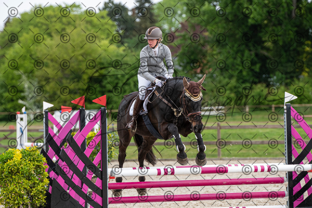 KPT_7826 | andre_photographic