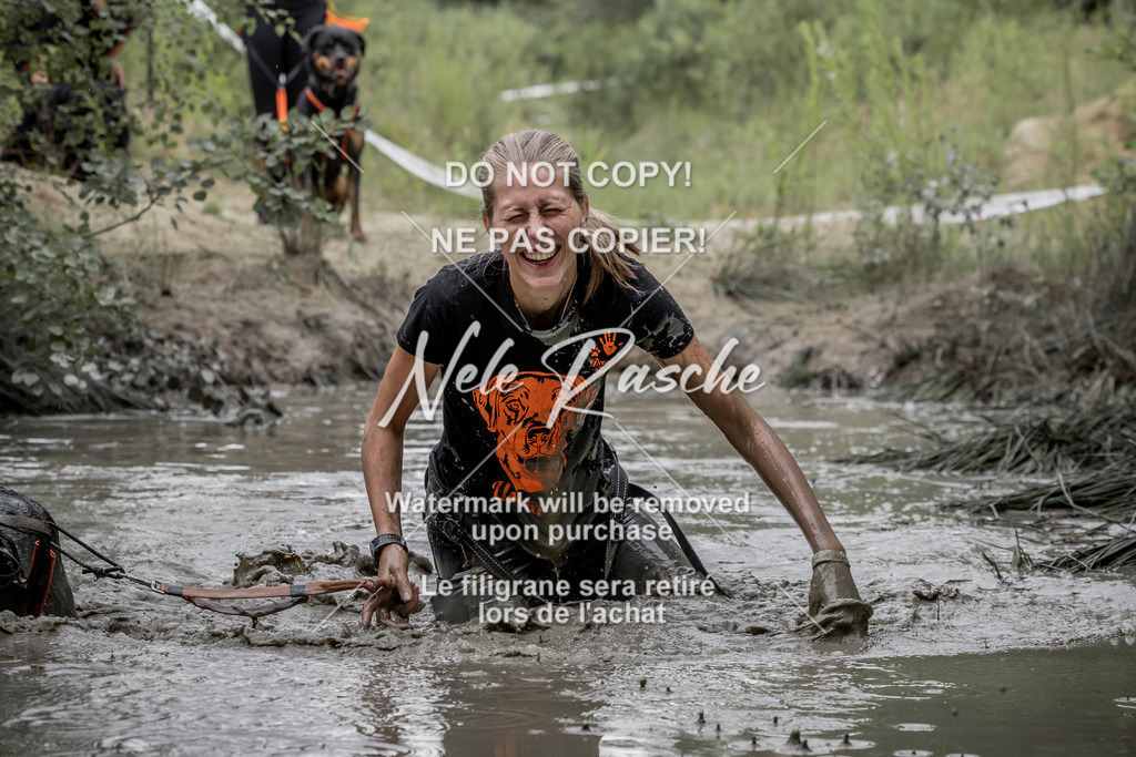 nelerasche_1400-1445_183 | nelerasche