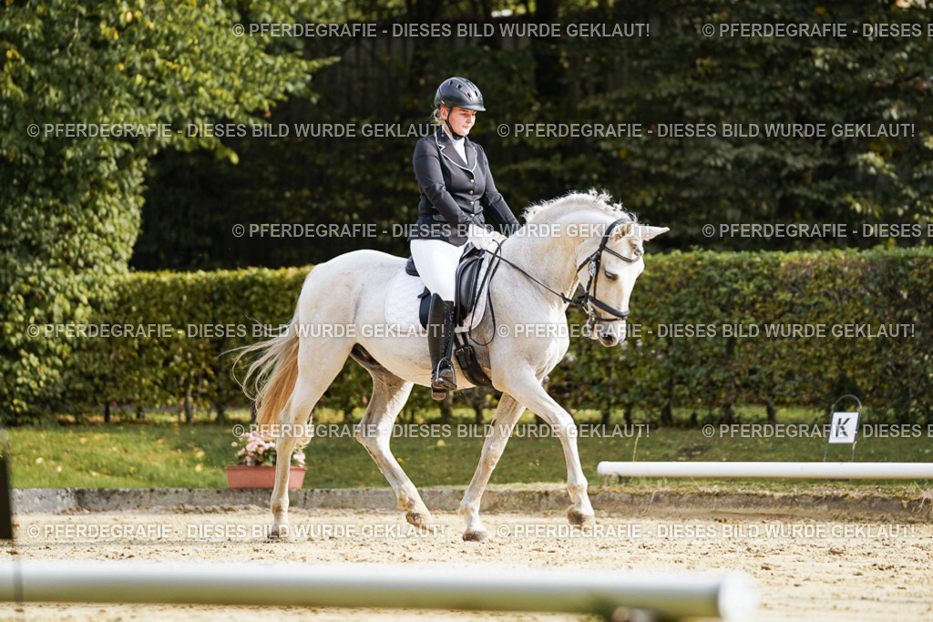 DSC04427 | Pferdegrafie