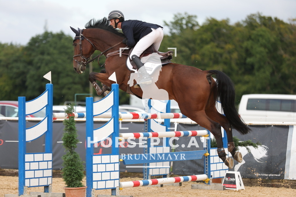 0P6A9401 | Willkommen bei Brunnmayr - Design & Fotografie – Ihrem Spezialisten für Reitturniere und Pferdeveranstaltungen in Oberösterreich, Salzburg und Bayern! Seit über 17 Jahren sind wir leidenschaftlich dabei.