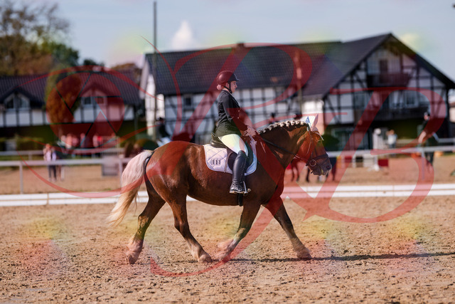 2026_10_03_Siefer-Hof_130224_Z81_56457786 | Professionelle Reitsport-, Turnier- und Eventfotografie von Robert Broda. Galerien mit ausgewählten und bearbeiteten Bildern direkt online ansehen und bestellen.