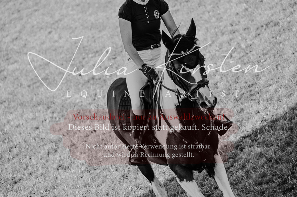 DSC_2413 | Pferde- und Turnierfotografie in Westsachsen. Pferdeportraits, Auftragszeichnungen und intuitive Kunst.
