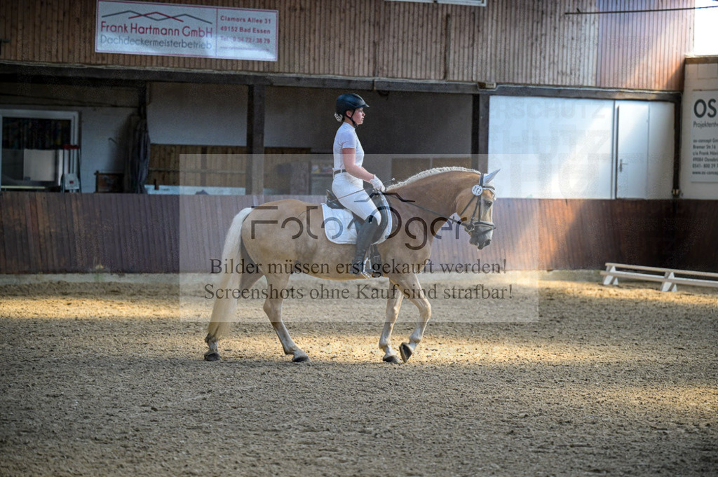 Reitturnier Voxtrup | Entdecke hochwertige Reitturnierfotos von Foto Oger. Professionell, emotional und authentisch – jetzt Lieblingsmomente im Shop bestellen.Deutschlandweite Turnierfotografie. - Realisiert mit Pictrs.com