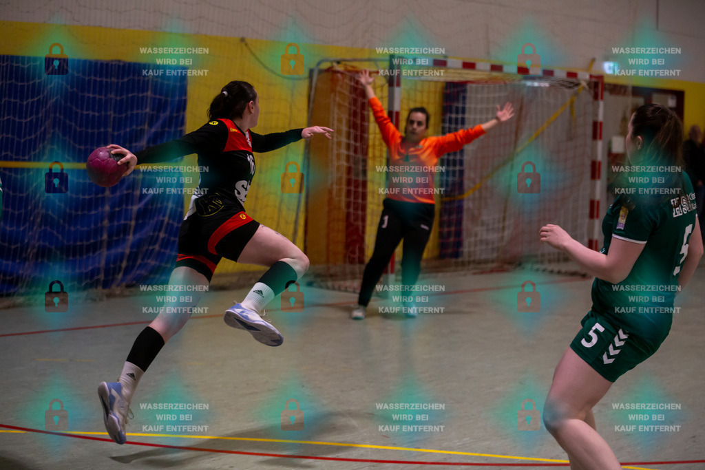 _HP_6780_3000o | TV Welling Damen vs. HSG ObereNahe 04.02.2024