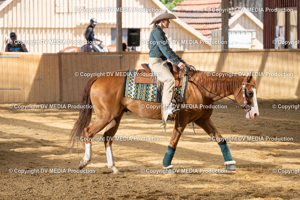 DSC00052 | dv-media-shop - Realisiert mit Pictrs.com