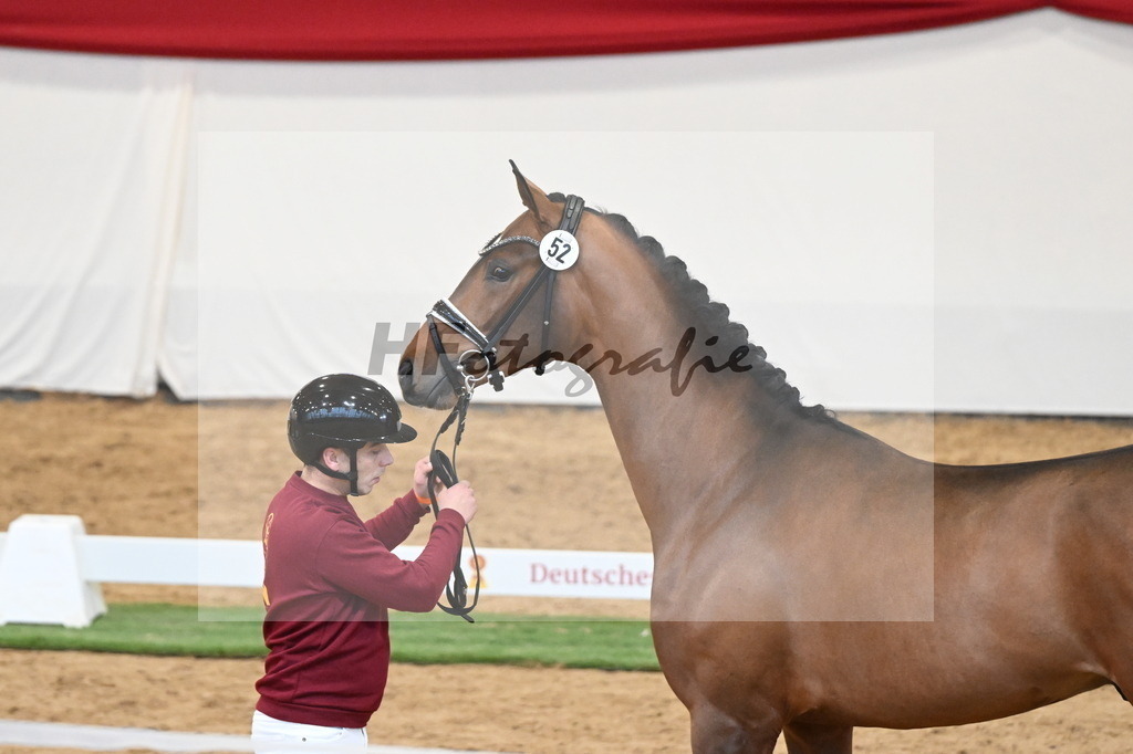 Kat.-Nr. 52 v. Dynamic Dream_Beckmann_2250226 | hf-fotografie - Realisiert mit Pictrs.com