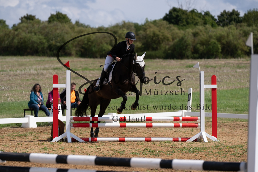 A7V03182 | Pferdefotograf