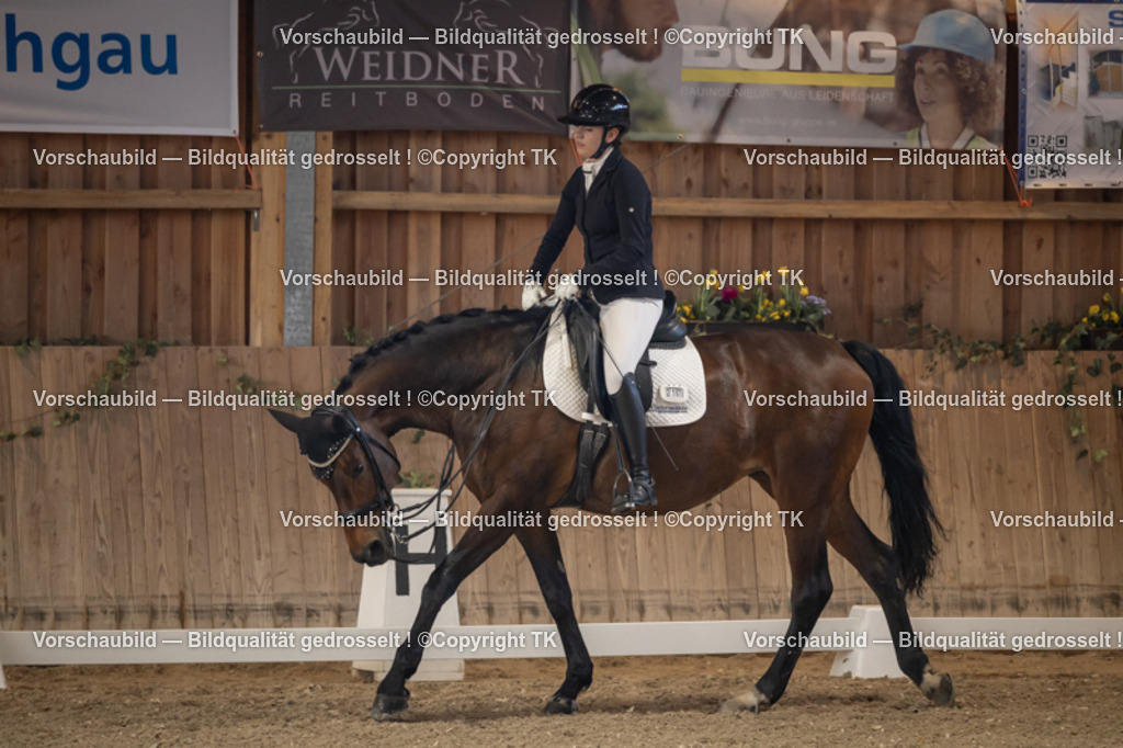 _D5A2751 | Emotionale Pferde- & People-Fotografie rund um Heidelberg, Leimen & Umgebung. Natürliche Fotos von Pferd, Mensch & Familie. Jetzt Termin sichern!