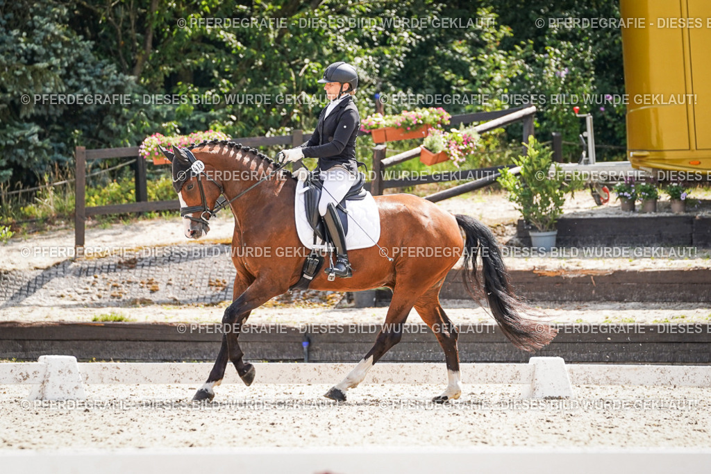 DSC09073 | Pferdegrafie