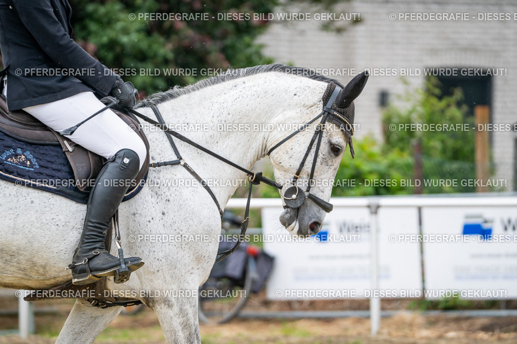 DSC01273 | Pferdegrafie