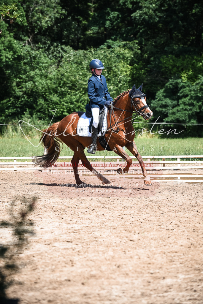DSC_3532 | Pferde- und Turnierfotografie in Westsachsen. Pferdeportraits, Auftragszeichnungen und intuitive Kunst.