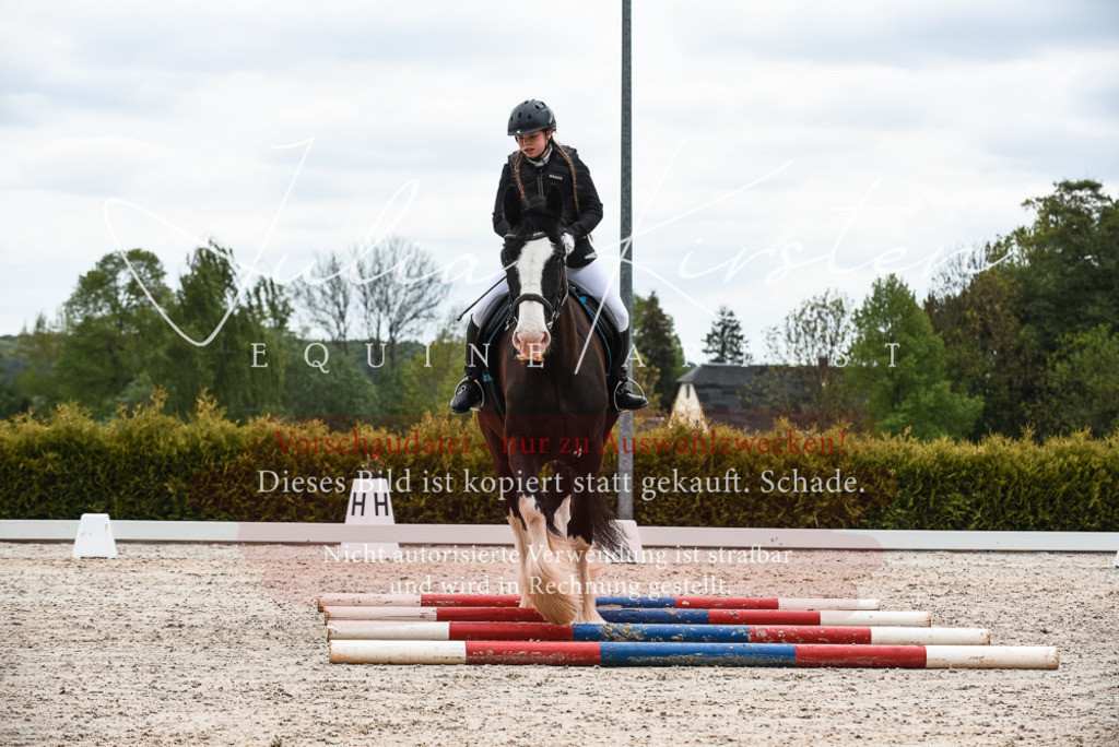 20230518_JK-Röhrsdorf-10-366 | Pferde- und Turnierfotografie in Westsachsen. Pferdeportraits, Auftragszeichnungen und intuitive Kunst.