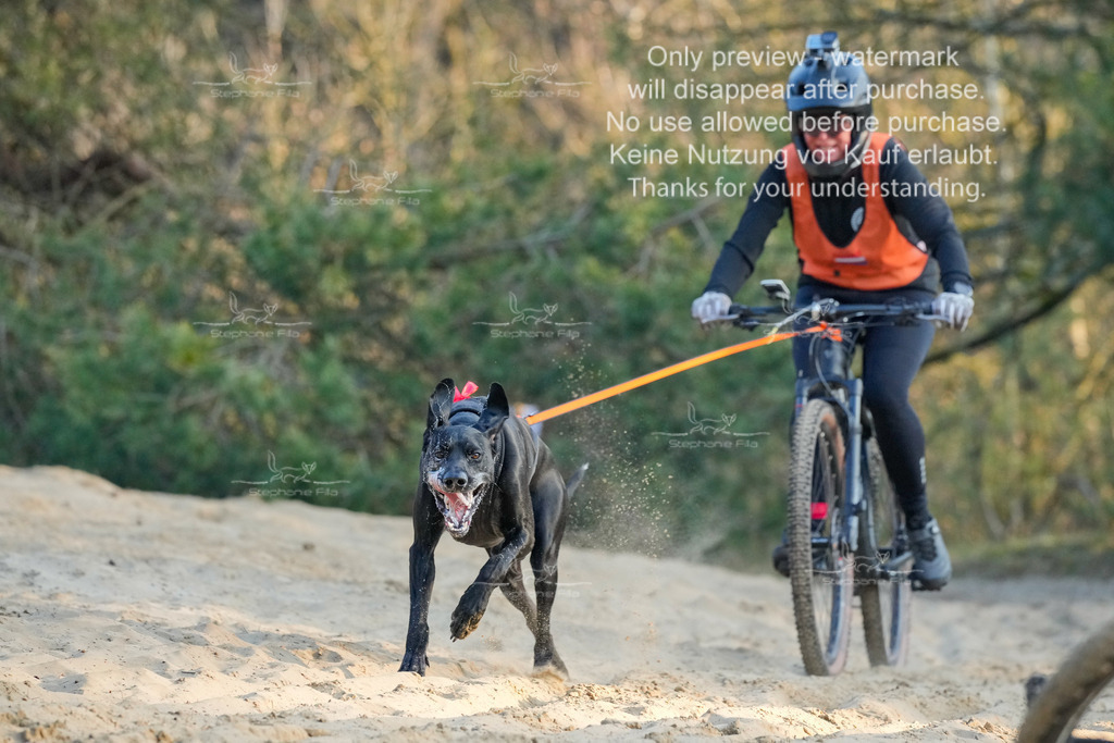 So_Bike-395 | stephaniefillaphotographie - Realisiert mit Pictrs.com