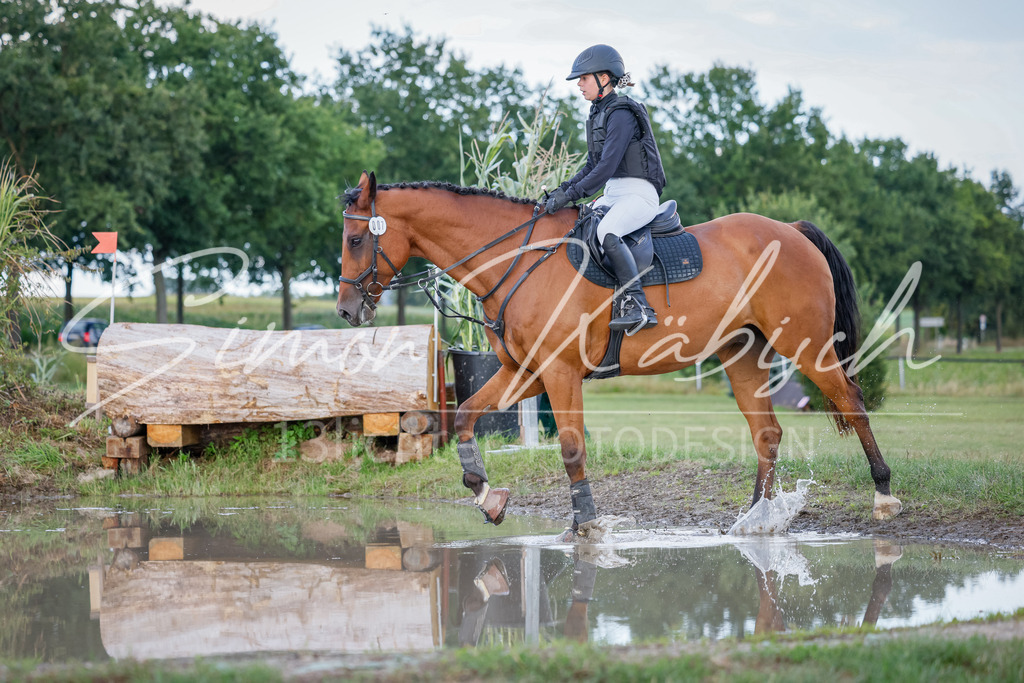 20250905-_3LI2078 | Tierfotografie Pferde, Hunde, Katzen, Haustiere.
Turnierfotografie Reitturniere, Reiten, Springreiten, Dressur in Hanau, dem Main-Kinzig-Kreis und dem Rhein-Main- Gebiet um Frankfurt
