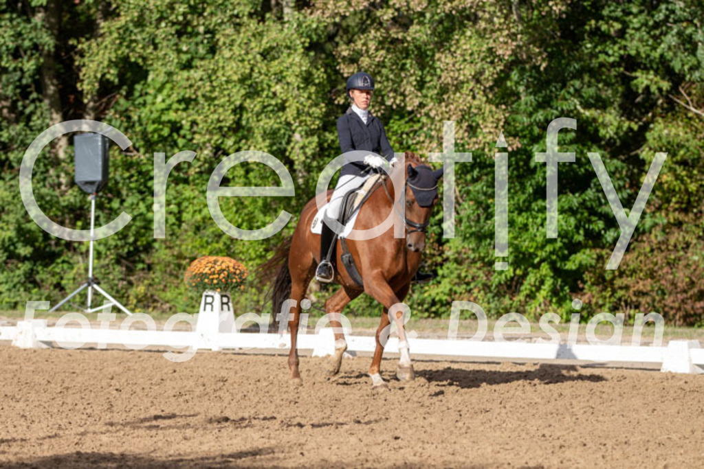 IMG_4683 | Creatify Fotografie