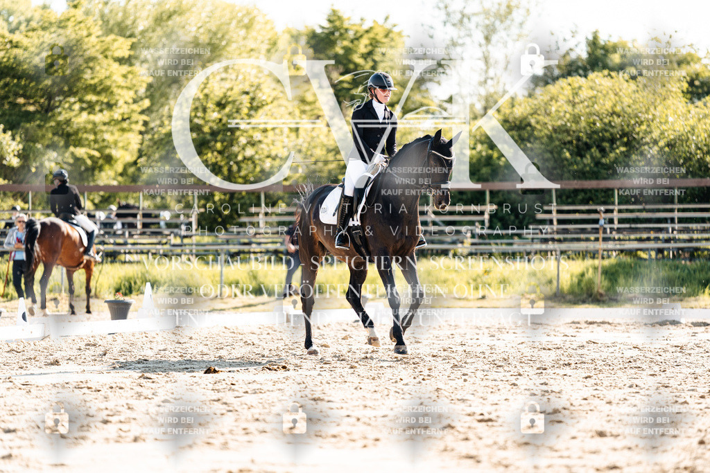 CK909963 | Turnierfotografie Pferdefotografie Trier Rheinland-Pfalz Pferdesport Reitsport Tierfotografie Sportfotografie Pferdevideo Pferdevideografie Equestrianvideography equestrianphotography  - Realisiert mit Pictrs.com