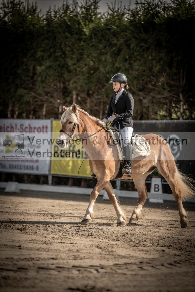 DSC_8764 | equestrian-live-com