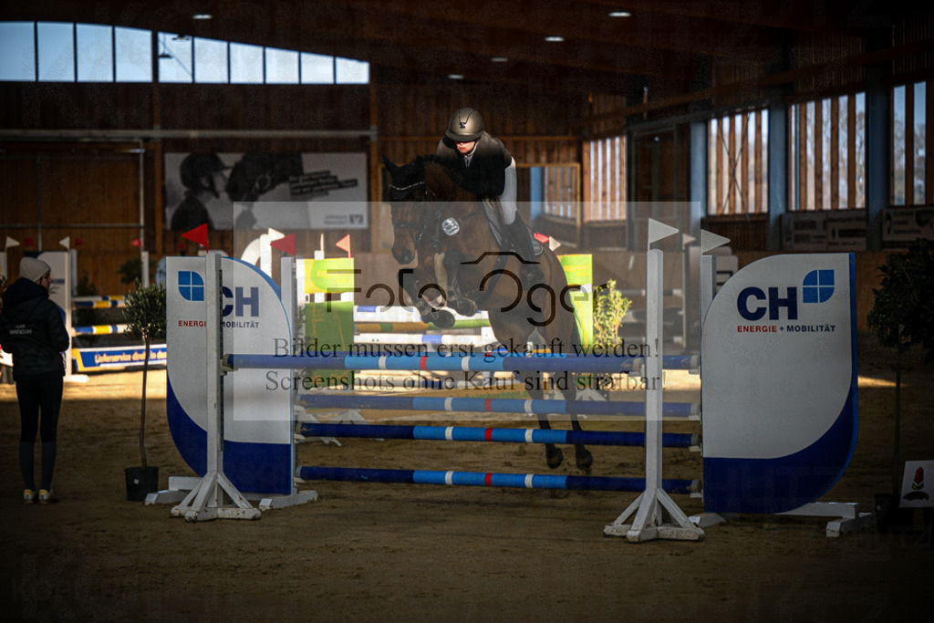 DOS_0131 | Entdecke hochwertige Reitturnierfotos von Foto Oger. Professionell, emotional und authentisch – jetzt Lieblingsmomente im Shop bestellen.Deutschlandweite Turnierfotografie. - Realisiert mit Pictrs.com