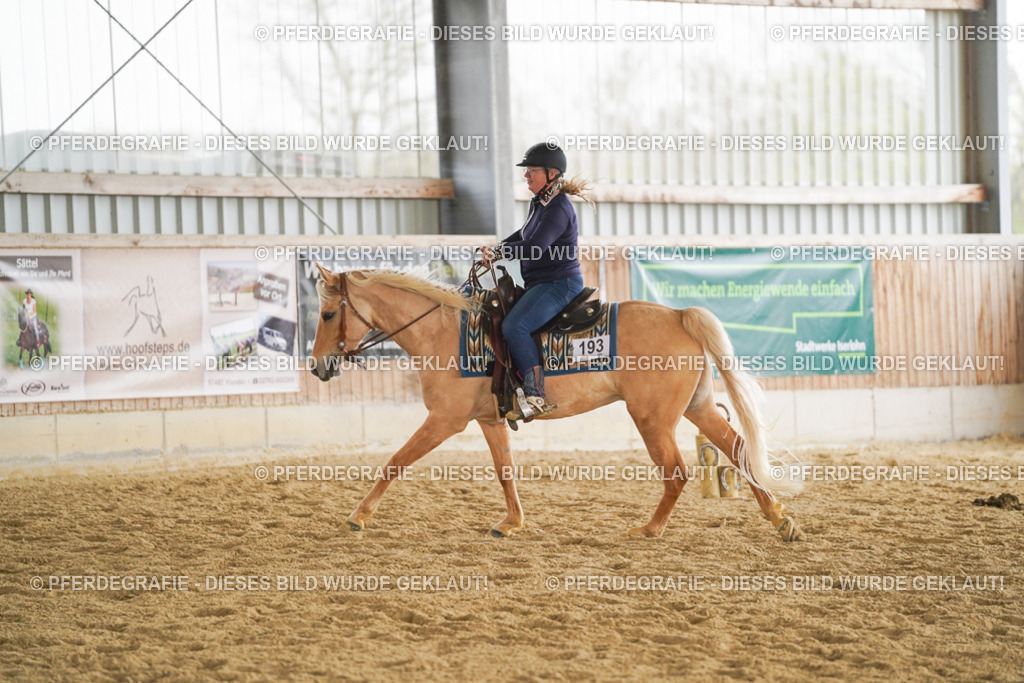 DSC06402 | Pferdegrafie