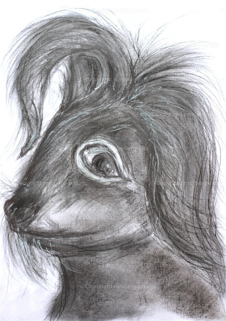 IMG_1588 (2) | romberg-arts, romberg-arts.de, www.romberg-arts.de, Foto_Online_Shop, Julia Fuhrmann, Köln, Fotos, Fotografie, Fotokunst, Kunstdrucke, Naturfotos, Aktfotos, Nacktfotos, schwarz_weiß_Fotos, Blumenfotos, Blumen, Tiere, Beton, Korrosion, Lächeln, Drucke