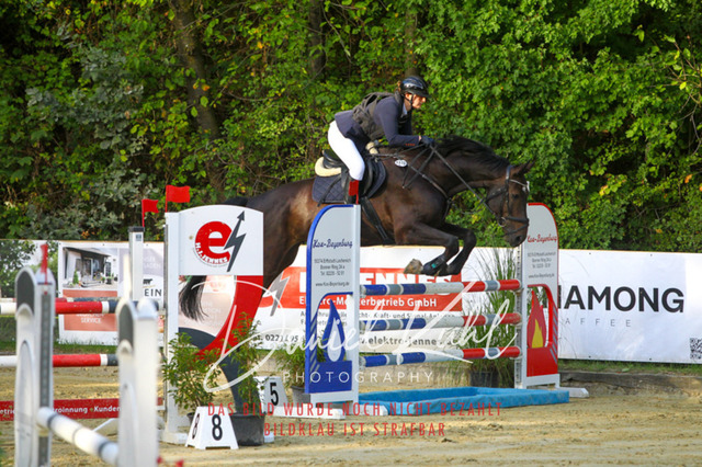 DKP42619 | Turniersportfotografie; Pferdefotografie; Dressurfotografie