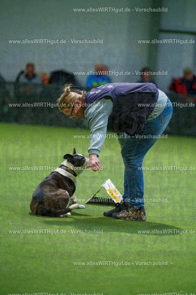 7R509829 | Professionelle Tierfotografie in Mönchengladbach von Daniel Wirth (allesWIRTHgut). Liebevolle & natürliche Bilder von Hunden & Katzen für unvergessliche Erinnerungen.