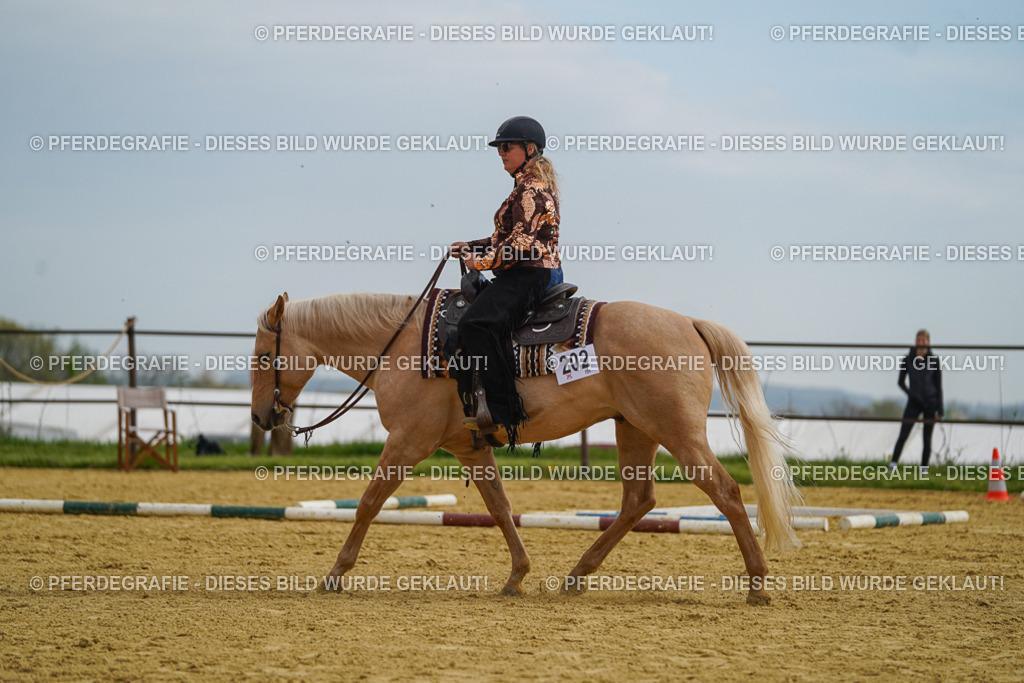 DSC02237 | Pferdegrafie