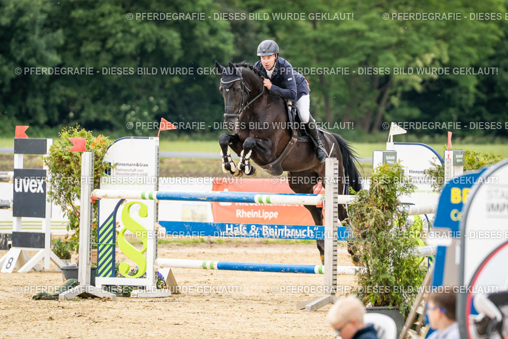 DSC06007 | Pferdegrafie