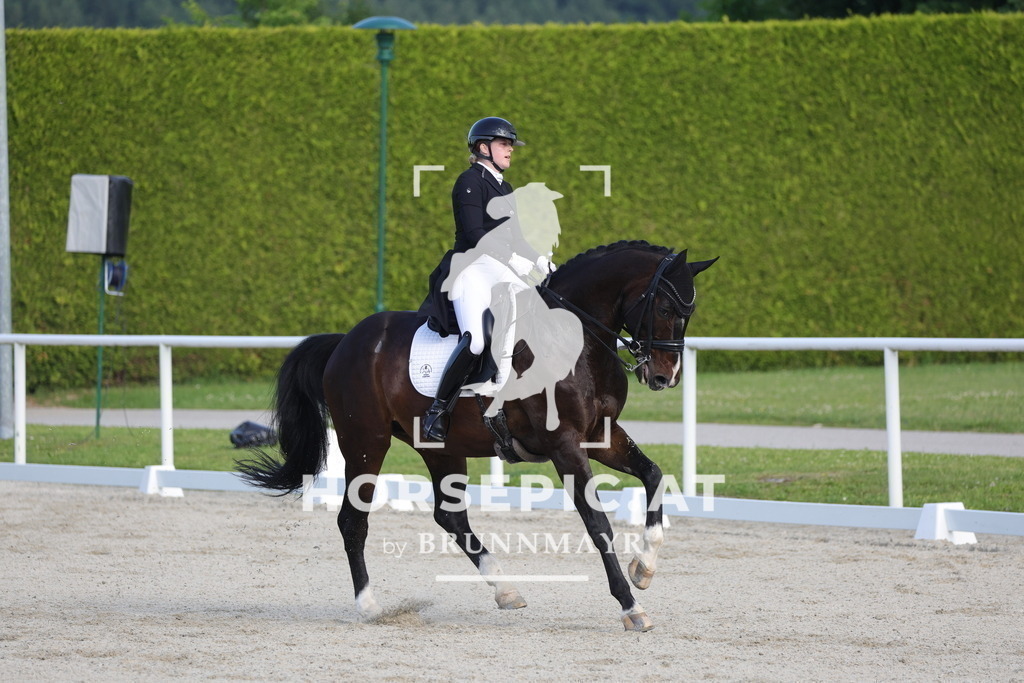 0P6A3786 | Willkommen bei Brunnmayr - Design & Fotografie – Ihrem Spezialisten für Reitturniere und Pferdeveranstaltungen in Oberösterreich, Salzburg und Bayern! Seit über 17 Jahren sind wir leidenschaftlich dabei.
