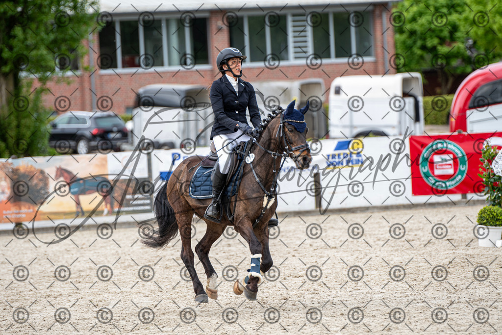 KPT_6254 | andre_photographic