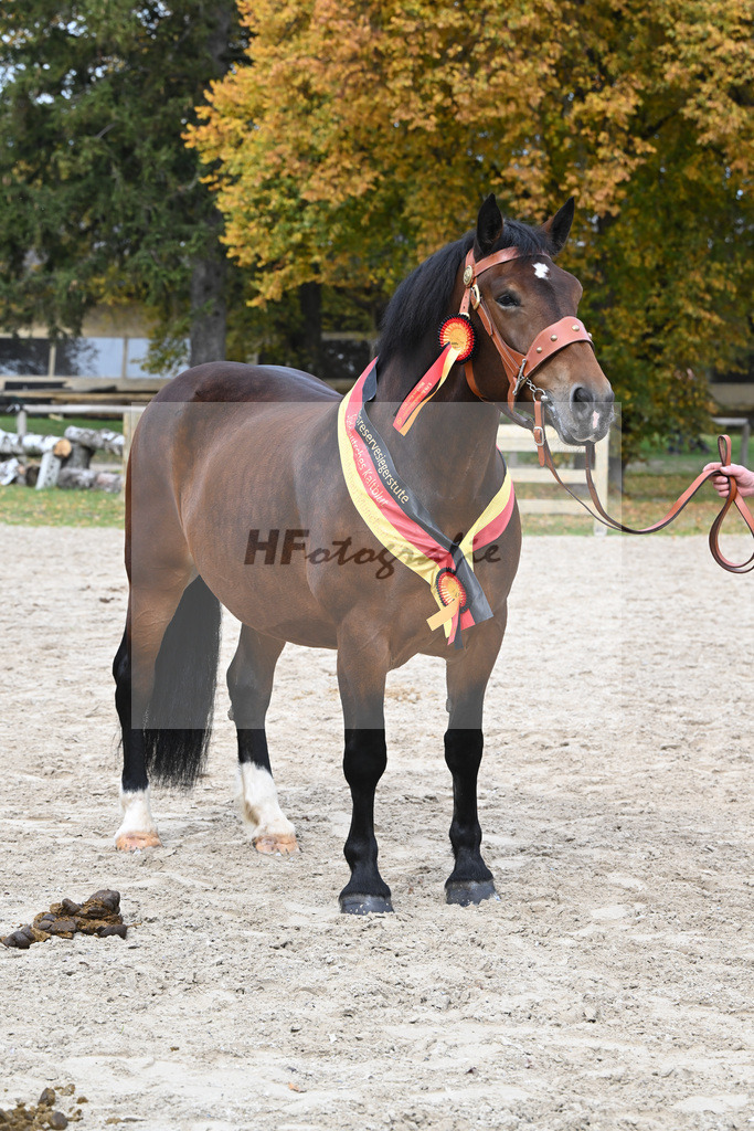 Kat-Nr. 76 Pipa_Gasteiger_53223638 | hf-fotografie - Realisiert mit Pictrs.com