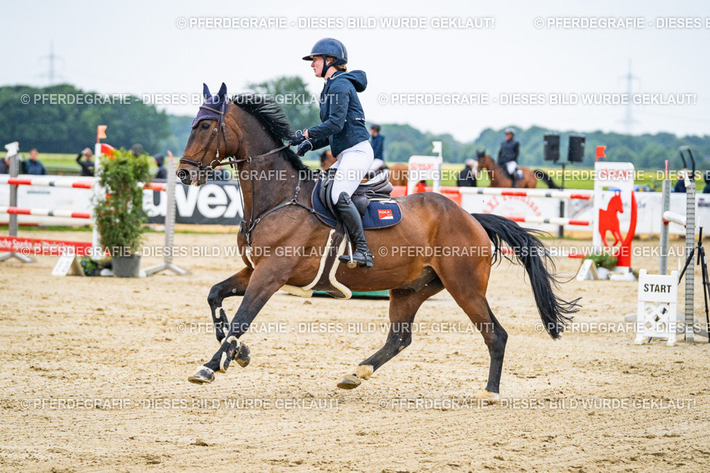 DSC09274 | Pferdegrafie