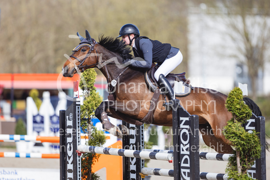 260404_Fruehlingsfest_SprPf-L-241 | Deine schönsten Turniermomente als professionelle Fotos! Entdecke hochwertige Pferdesport-Fotografie im Online-Shop. Jetzt Fotos finden & bestellen!