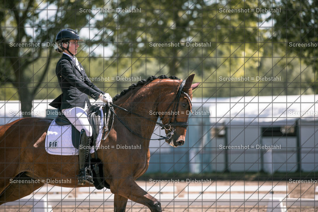 _W6A6098 | ronjaprokoschfotografie - Realisiert mit Pictrs.com